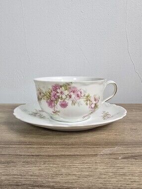 Habsburg Austria Floral Cup & Saucer Set Pink Flowers Gold Trim Vintage China